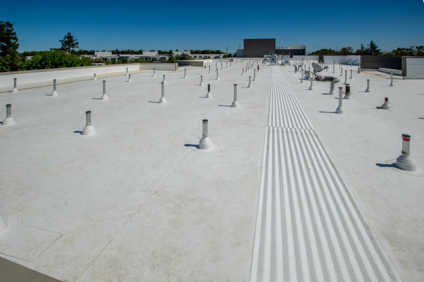 Best Roof Moss and Algae Removal  in Pigeon, MI